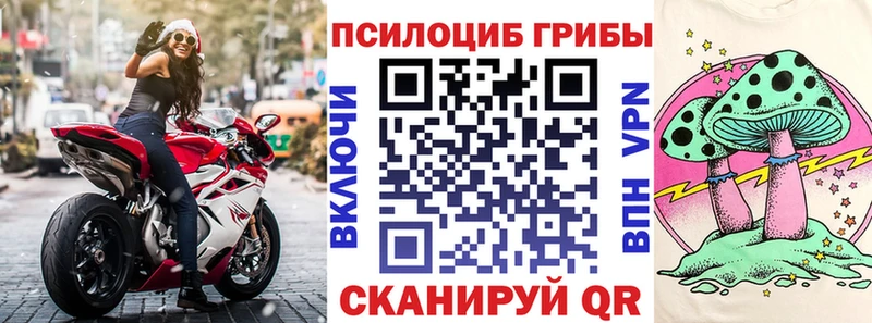 Галлюциногенные грибы Cubensis  наркошоп  это состав  Тюмень  МЕГА вход 