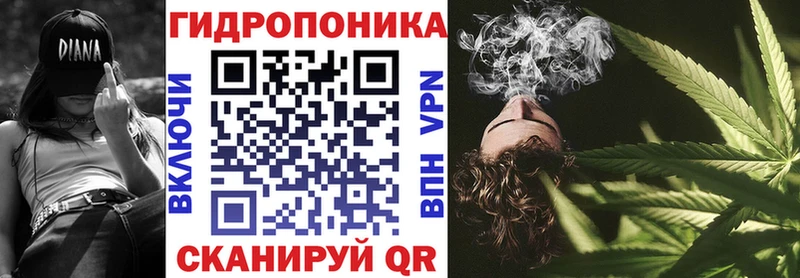 Марихуана план где купить мега маркетплейс Тюмень